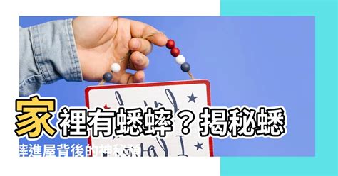 家裡有蟋蟀|蟋蟀入屋5大秘密